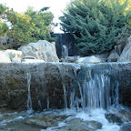 Jardín Japonés Jardín Japonés
