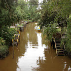 Canales en el delta