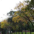 Oto&ntilde;o en Colonia del Sacramento