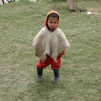 Monito, monito, una foto
