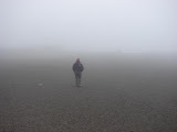 Perdidos entre la niebla