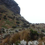 Camino a la laguna Verde Camino a la laguna Verde