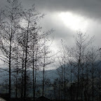 Bosques al rededor de la laguna