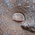 Fósil encontrado en las cuevas Fósil encontrado en las cuevas