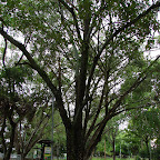 El paseo al lado del embalse