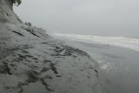 Piedra corroida por la fauna marina MSS