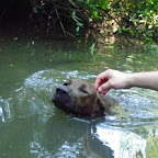 El labrador del pescador El labrador del pescador