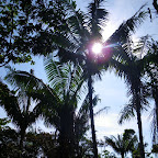 El sol golpea duro El sol golpea duro