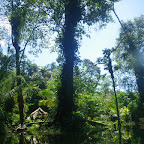 Zona del puerto del manglar Zona del puerto del manglar