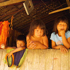 Niños waunan Niños waunan