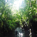 La cascada La cascada