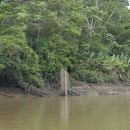 Estructura para la pesca Estructura para la pesca