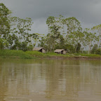 Poco a poco cambia el paisaje Poco a poco cambia el paisaje