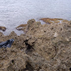 Las rocas junto a La Miel
