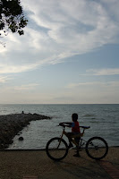 Esperando el atardecer MSS