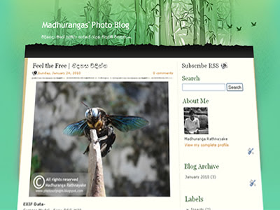 madhurangas_photo_blog.jpg