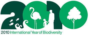 iyb_logo_txt.jpg
