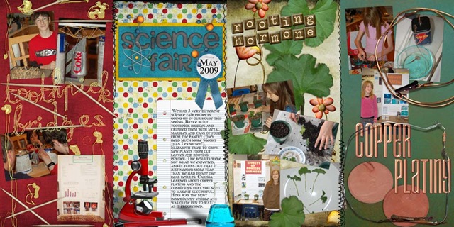 [ScienceFair20092.jpg]