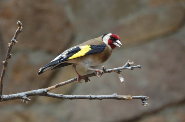 [2009_0703_CMZoo-32[2].jpg]