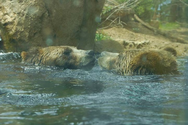[2009_0703_CMZoo-52[2].jpg]