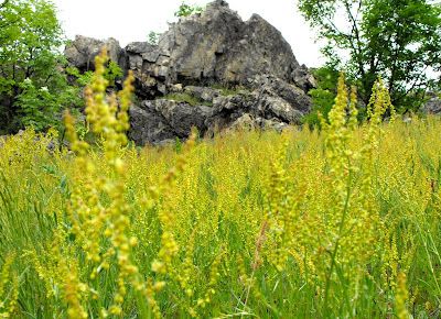 Macin19 Munții Măcin