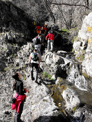 Macin. Cheile Chediu