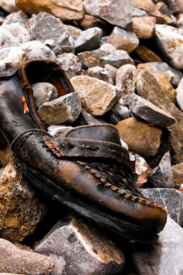 pantoful cu pietre - shoe with stones