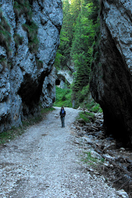 Piatra Craiului - Prapastiile Zarnestilor