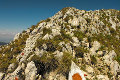 Piatra Craiului - Creasta