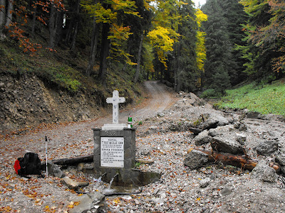 Ciucas - valea berii