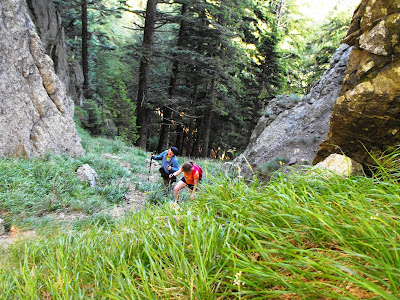 Cozia. Poarta de Piatra