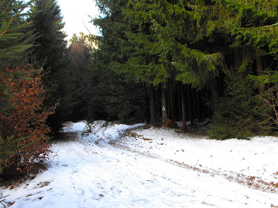 Bucegi. Ianuarie 2011