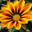 7-24-2010.jpg