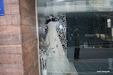 IMG_3282-1.jpg