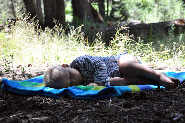 Американский пирог, или 70 дней в U.S.A.