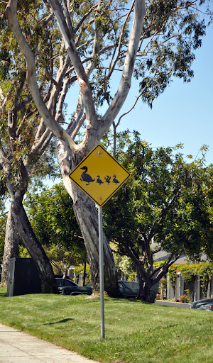 Американский пирог, или 70 дней в U.S.A.