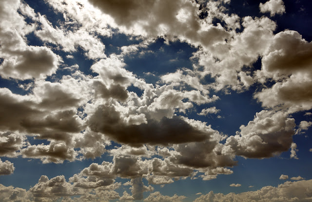 Американский пирог, или 70 дней в U.S.A.