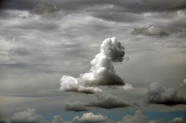 Американский пирог, или 70 дней в U.S.A.