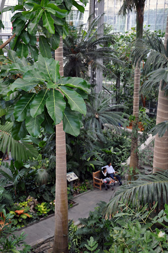 Американский пирог, или 70 дней в U.S.A.