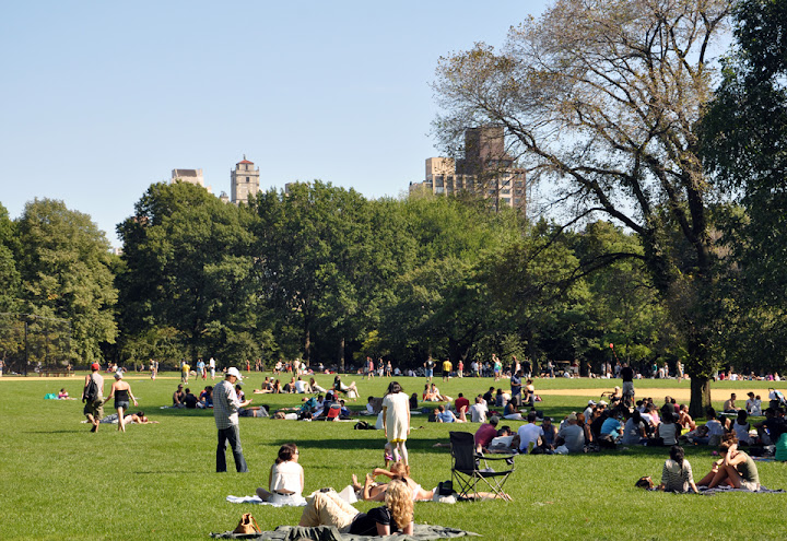 Американский пирог, или 70 дней в U.S.A.