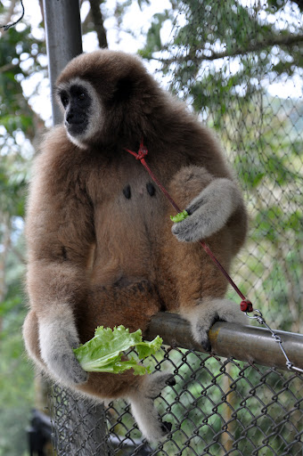 Случайности неслучайны