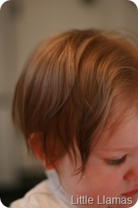 IMG_5828 - Copy
