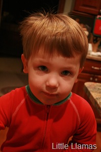 [IMG_5347[3].jpg]