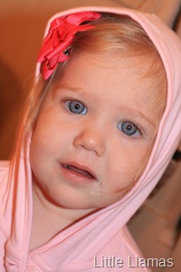 [IMG_76732.jpg]