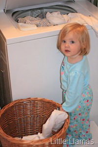 [IMG_77335.jpg]