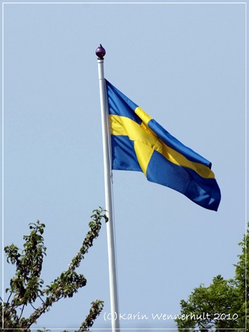 [Svenskaflaggan[1].jpg]