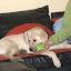 DSC_2131.jpg