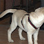DSC_2142.jpg