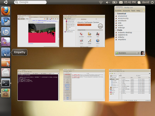 Selection for Ubuntu 10.10