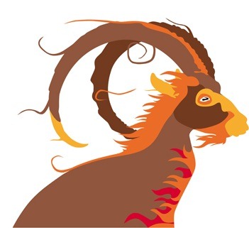 [ubuntu_ibex01[5].jpg]